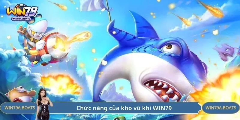 Chức năng của kho vũ khí WIN79